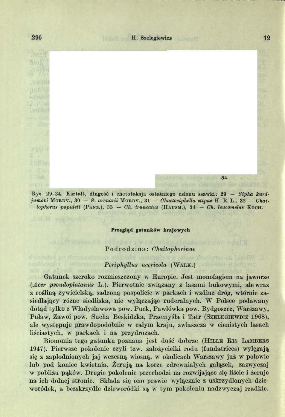 2 96 tt. Szelegiewicz 12 Rys. 29-34. Kształt, długość i chetotaksja ostatniego członu ssawki: 29 Sipha kurdjum ovi M o r d v., 30 8. arenarii M o r d v., 31 Chaetosiphella stipae H. R. L.