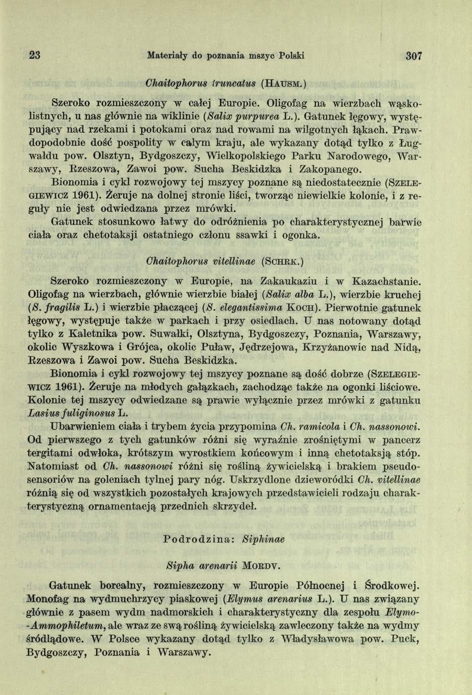 23 Materiały do poznania mszyc Polski 307 Ghaitophorus iruncatus (H atjsm.) Szeroko rozmieszczony w całej Europie. Oligofag na wierzbach wąskolistnych, u nas głównie na wiklinie (Salix purpurea L.). Gatunek łęgowy, w ystępujący nad rzekami i potokam i oraz nad rowami na wilgotnych łąkach.