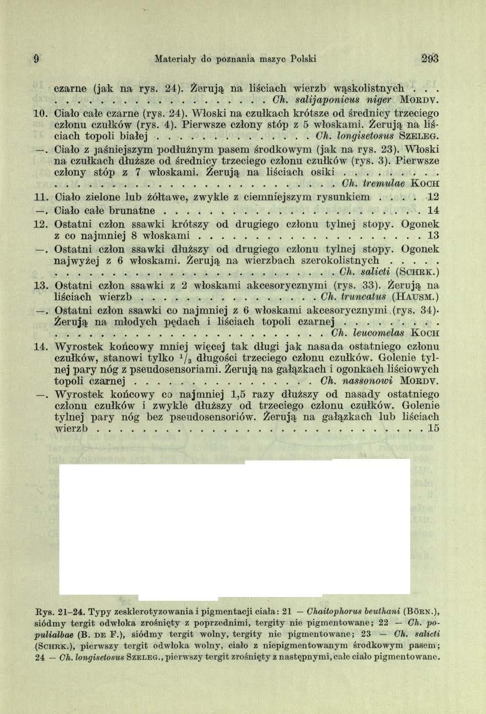 9 Materiały do poznania mszyc Polski 293 czarne (jak na rys. 24). Żerują na liściach wierzb wąskolistnych...... Gh. salijaponicus niger Mokdv. 10. Ciało całe czarne (rys. 24). Włoski na czułkach krótsze od średnicy trzeciego członu czułków (rys.