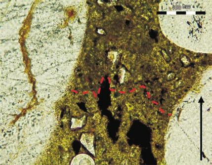 Mikrostruktura betonu z cementem CEM V/A (S-W) po 56 dniach ekspozycji w 1% CO 2 : a) cienki szlif w œwietle przechodz¹cym, równoleg³e nikole, b) cienki szlif w œwietle przechodz¹cym, nikole x a) b)