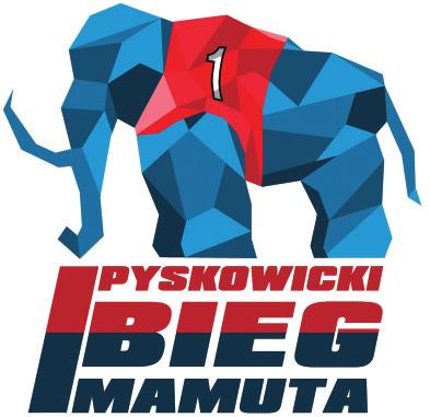 kotła węglowego V klasy 11 szt. 7 200,00 zł brutto Zakup i montaż kotła gazowego 4 szt.