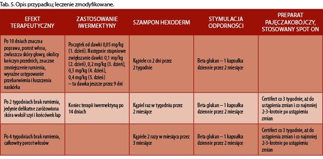 Nużyca u psów 15 Po 2 tygodniach zaobserwowano poprawę, ale nie była ona tak zadowalająca jak przy pierwszym zastosowaniu.