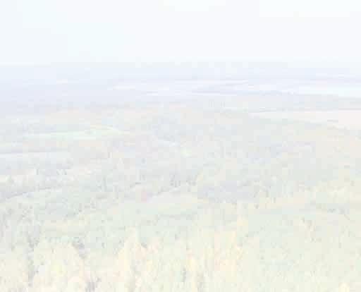 CHARAKTERYSTYKA NIERUCHOMOŚCI ul.
