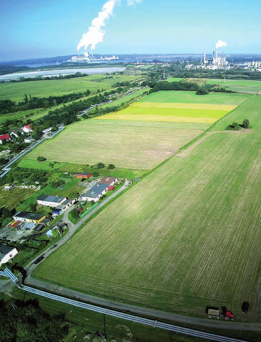 ul. Zapłocie Konin - Maliniec 4,2528 ha Zapłocie