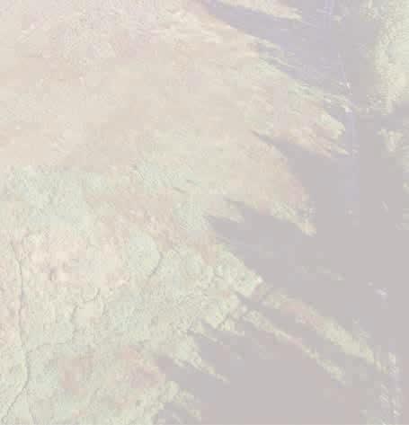 CHARACTERISTICS Brunatna street Konin - Międzylesie AREA: 6,3929 ha (site divided into 3 plots with an area of 1,3894