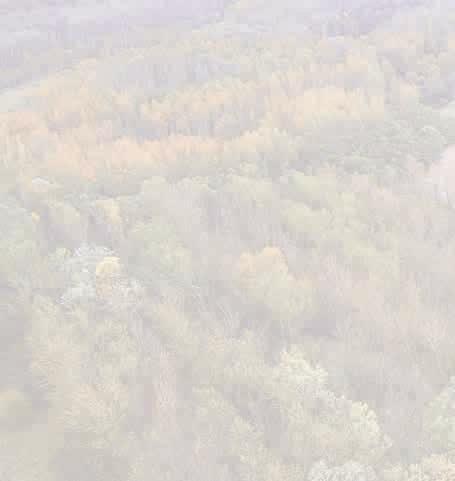 PROPERTY CHARACTERISTICS Sulańska street Konin - Maliniec AREA: 1,1550 ha (site