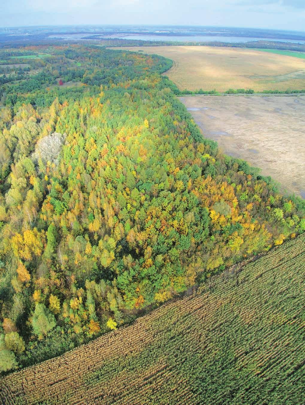 ul. Janowska Konin -