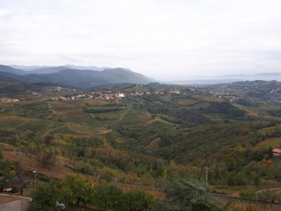 Popoldne so naju starši peljali v Goriška Brda. Najprej smo šli do družinskih vinogradov in poskusili nekaj svežega grozdja.