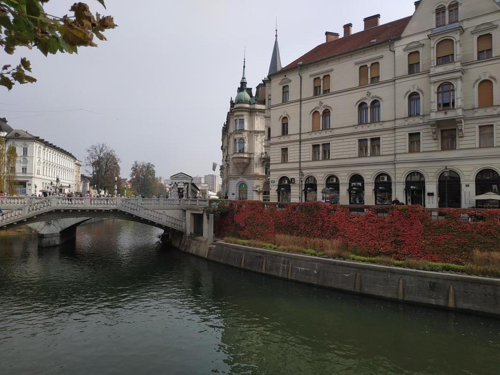 Potem smo odšli še na kosilo k Zmajčku, nato sva odšla domov, kjer sva do večerje igrala playstation. Po večerji sva se umila in odšla spat. We woke up at 6.20 and went to school by bus at 7.00.