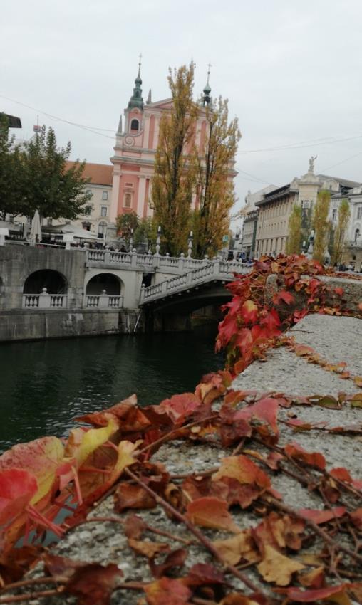 Bugün tren ile saat 12 de Bled e gittik. Bled e gittiğimiz zaman gölü gördük ve arkadaşlarımızla fotoğraf çekildik. Daha sonra adaya gittik ve lettezli dondurmadan yedik.