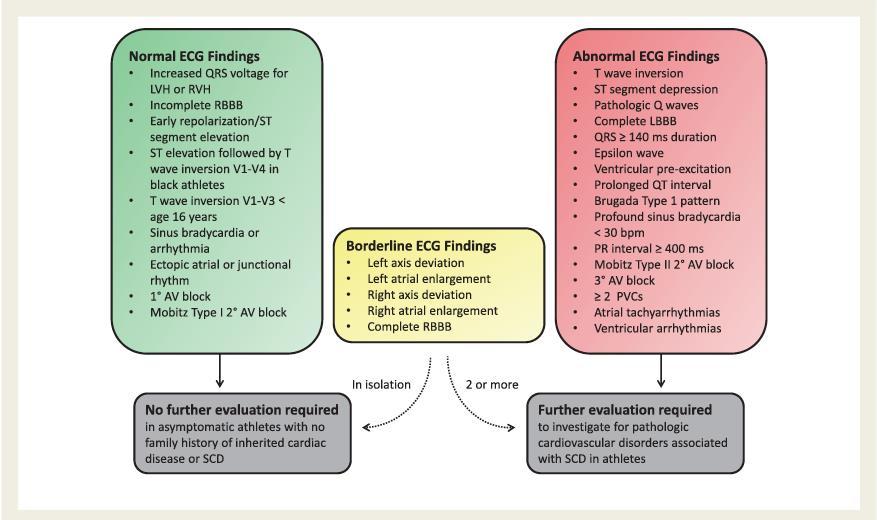 EKG Sharma S