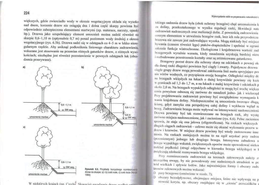 20,0% W jakim celu wykonano w rzece przedstawioną na ilustracji budowlę? A. Umocnienia skarp koryta rzeki. B. Likwidacji ostrego zakola rzeki. C. Odsunięcia nurtu rzeki od brzegu. D.