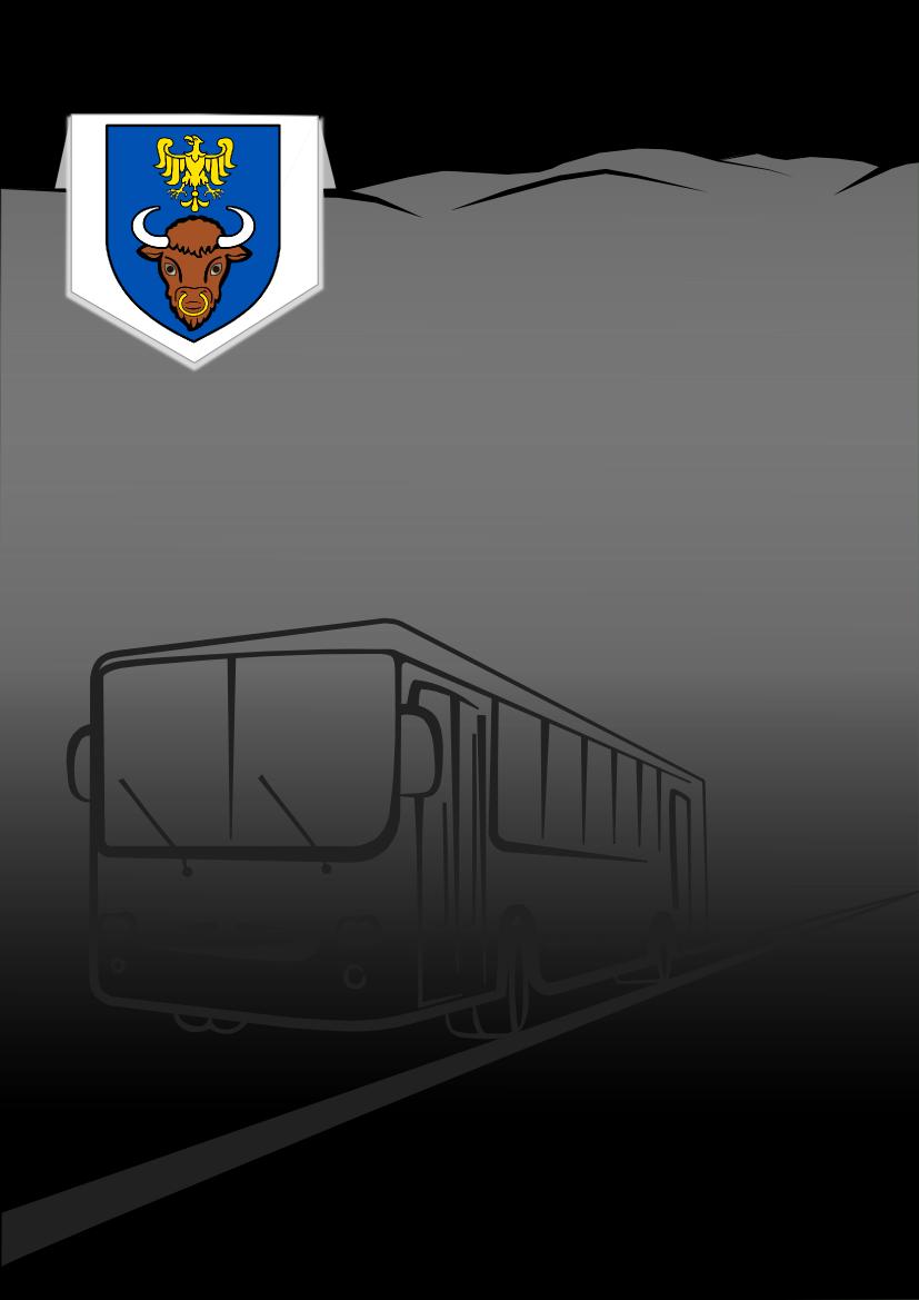 Plan zrównoważonego rozwoju publicznego