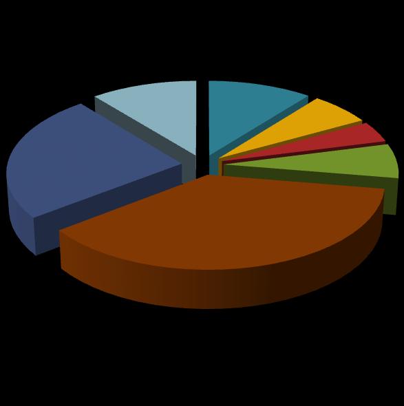 Średnie ogólnokształcące posiadało 19,13% ankietowanych, a zasadnicze zawodowe 15,56%.