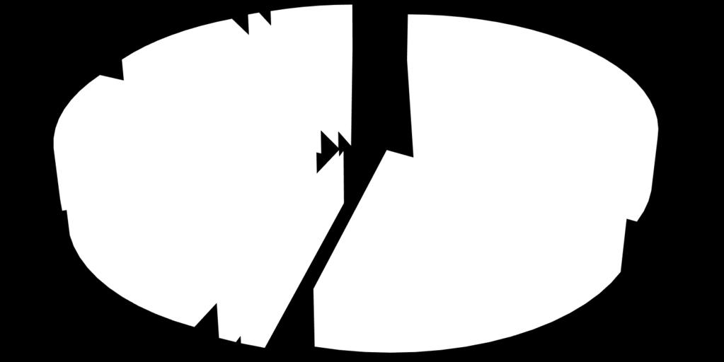 kaucyjne R+V SwissRe 10,5% VKB 0,9% AXA 6,4% R+V 33,4%