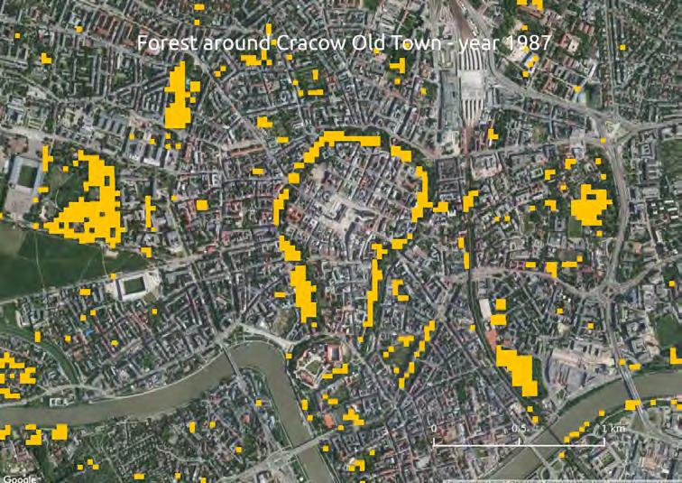 Forested areas in Cracow (1985-2017)