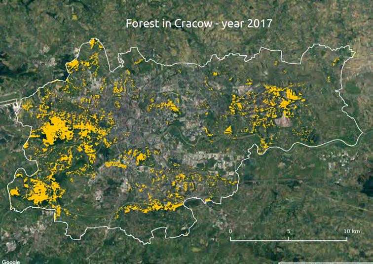 Forested areas in Cracow (1985-2017)