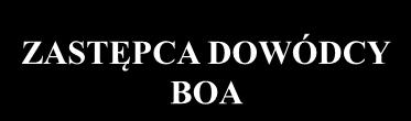 DOWÓDCY BOA BOJOWY I ZESPÓŁ ANALITYCZNO -