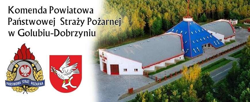 KOMENDA POWIATOWA PAŃSTWOWEJ STRAŻY POŻARNEJ W GOLUBIU DOBRZYNIU Analiza czynności kontrolno rozpoznawczych za rok 2017 w