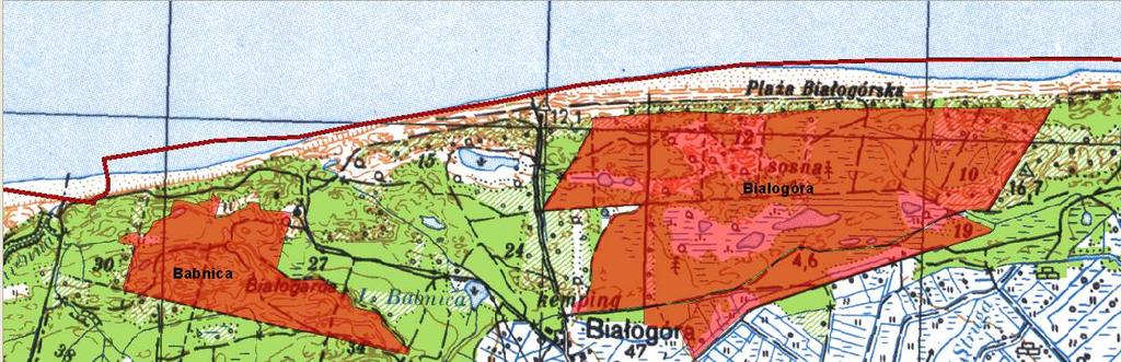 3) Rezerwat przyrody Bagno Stawek utworzony w 1977 r. Powierzchnia 40,80 ha.
