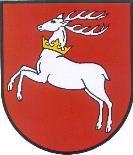 KOMUNIKAT OFICJALNY LISTA WYNIKÓW XXXI OGÓLNOPOLSKI NARCIARSKI BIEG HETMAŃSKI XI SAMORZĄDOWY BIEG