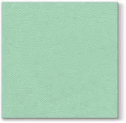MONOCOLOR light mint MONOCOLOR light mint MONOCOLOR light mint AAN009126