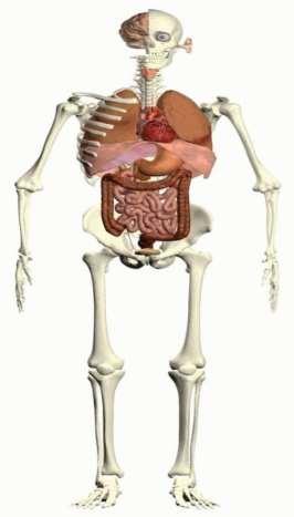 PRZEDMIOTOWY SYSTEM OCENIANIA Z