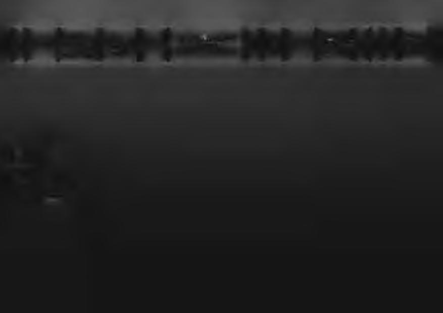 28. m.