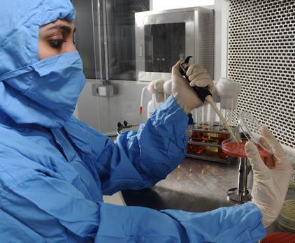 test na obciążenie biologiczne iii.
