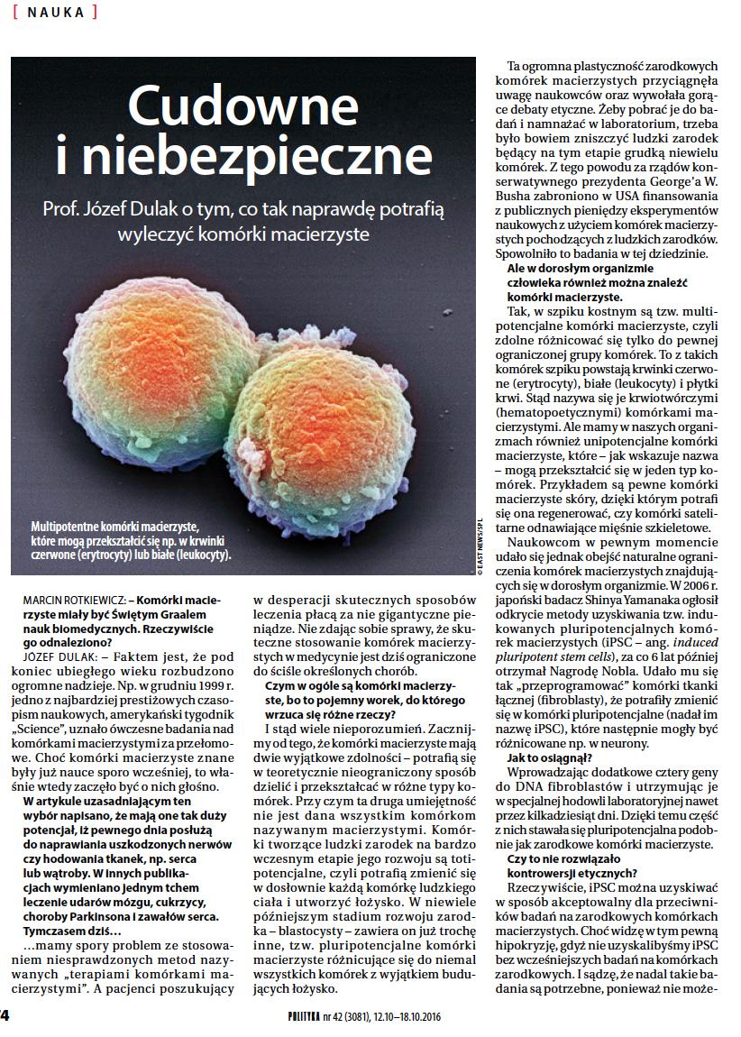 Olbrzymie oczekiwania