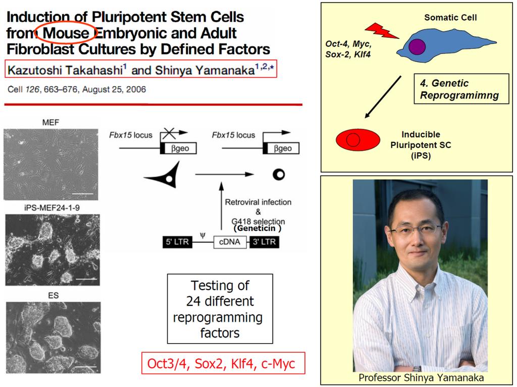 Indukowane pluripotencjalne