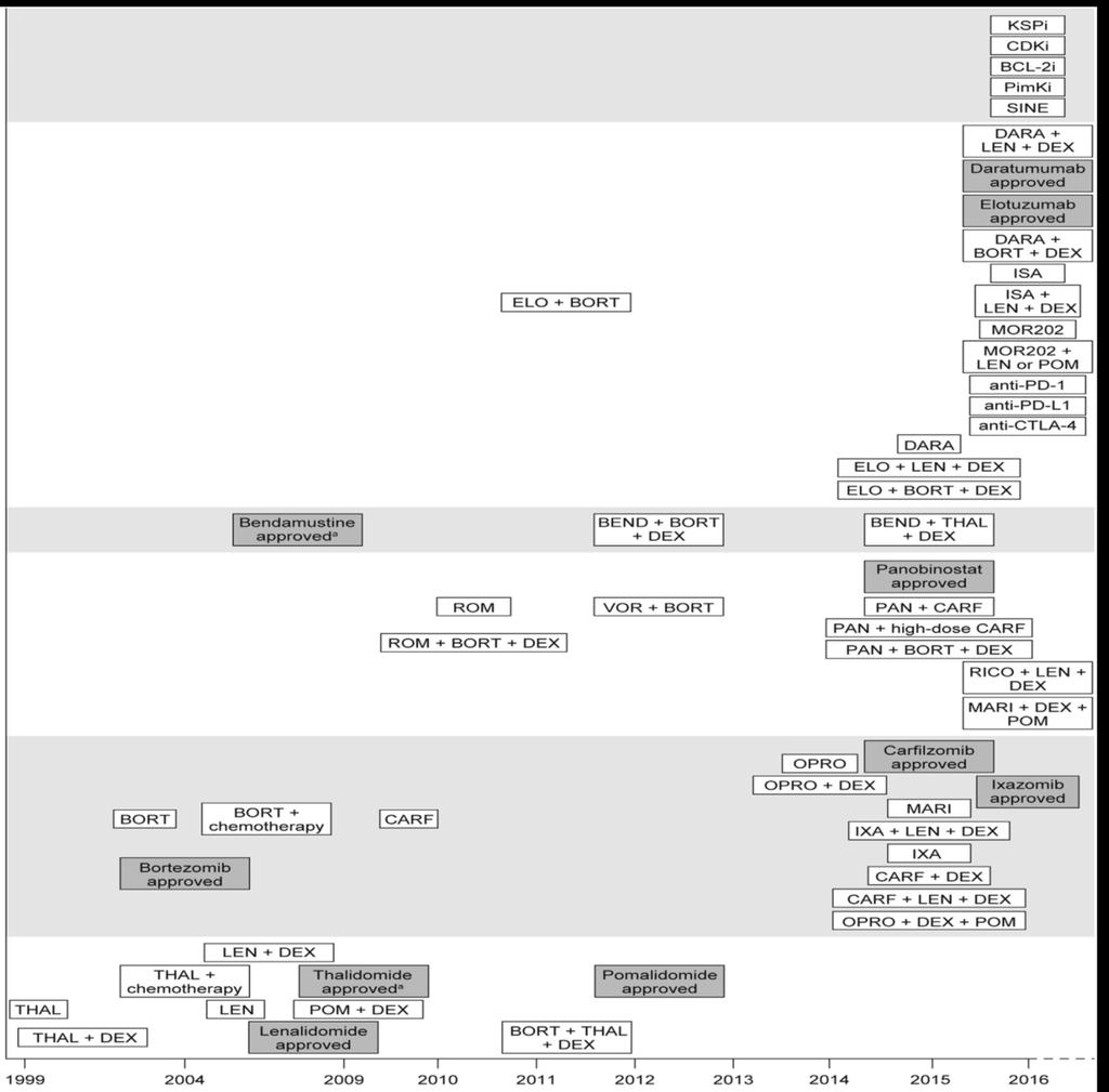 Leki stosowane w terapii SzP Sonneveld P. et al Clin.Rev.Oncol.Hematol.