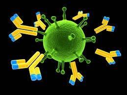 development in MM development in Nowe MM strategie Immunotherapeutic leczenia w SzP strategies in deve une une r r 3) Agents that reverse tumor 3) Agents that reverse tumor 1) Agents that selectively