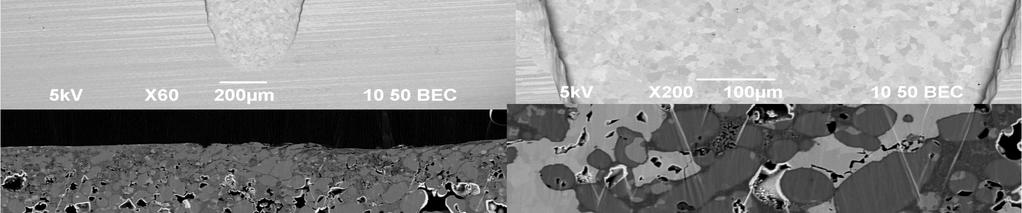 10 µm 5