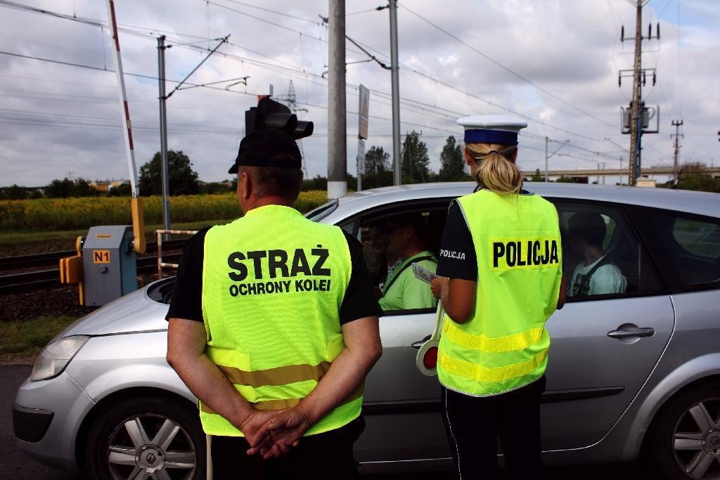 policjanci przeprowadzili działania od