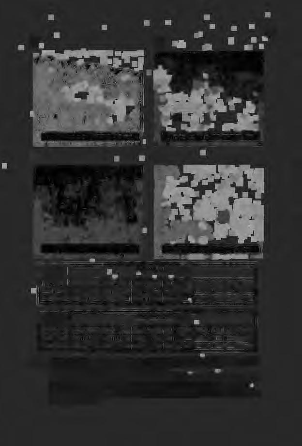 2d) Ni Al l 80.33 11.39 2 75.44 8.80 Pierwiastek(% wg.) Cr M 'b 0.52-15.44 1.43-43.86 Pierwiastek (% wg.) Cr M 'b 5.60 1.41 1.26 12.