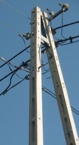 Zadanie 21. Jaki rodzaj słupa elektroenergetycznego przedstawiono na rysunku? Stalowy. Żelbetowy. Drewniany. Strunobetonowy.