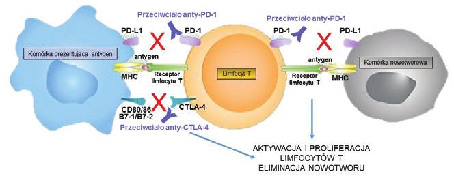 www.diagnostykalaboratoryjna.eu przynosi znacznie większe korzyści niż zastosowanie tylko samej monoterapii.