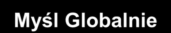 Rada Miejska Woking Działaj Lokalnie, Myśl Globalnie O Woking 90.