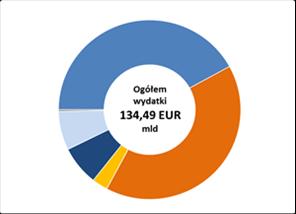 2.5.2. Wykryte i zgłoszone nieprawidłowości niezwiązane z nadużyciami finansowymi W 2017 r.