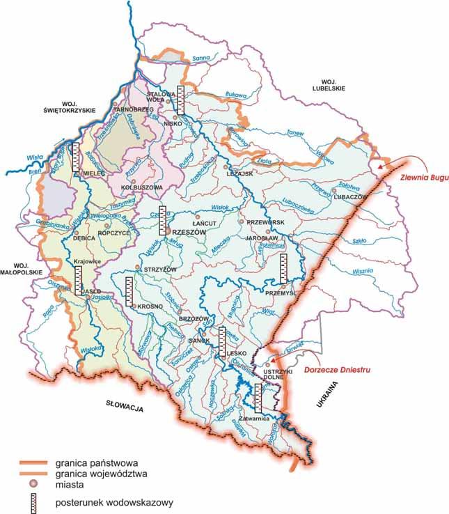 obserwowano w 2004 roku, to jest roku, który nastąpił po suszy, jaka miała miejsce na Podkarpaciu w 2003 roku.