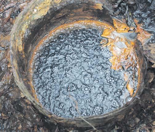 Równie faktem jest to, e Ÿród³a wody mineralnej nie s¹ dochodowe. Oczywiœcie, dziêki wodzie mineralnej przyci¹gamy do miasta kuracjuszy, ale samo jej udostêpnianie wi¹ e siê z du ymi kosztami.