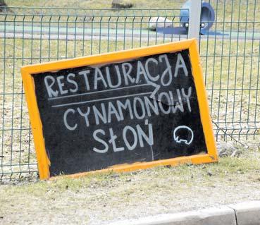 Zdecyduj o pozostawieniu 1% w naszym mieœcie wspieraj¹c dzia³alnoœæ Fundacji na Rzecz Rozwoju Spo³ecznoœci Lokalnej Œwieradów Czerniawa Fundacja na Rzecz Rozwoju Spo³ecznoœci Lokalnej Œwieradów
