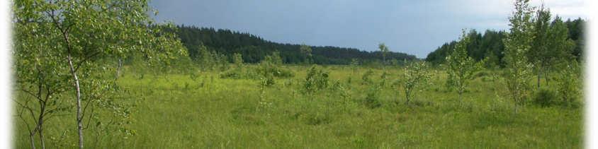 torfowisk alkalicznych (7230) w młodoglacjalnym krajobrazie Polski północnej Ewa