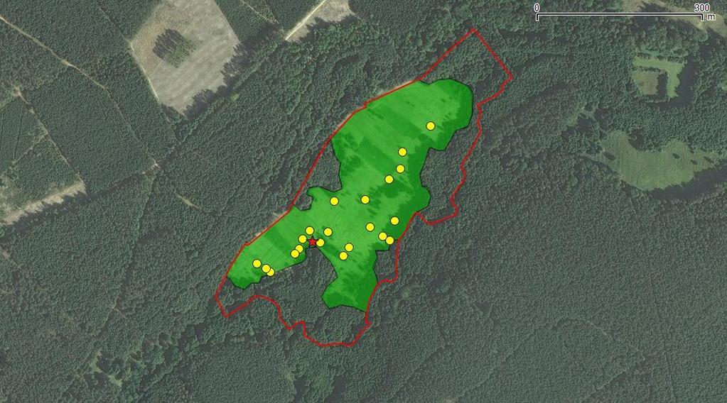 Ryc. 18 Zróżnicowanie form ochrony. Kolor zielony ochrona czynna, kolor czerwony ochrona ścisła. Ryc. 19 Mapa zabiegów.