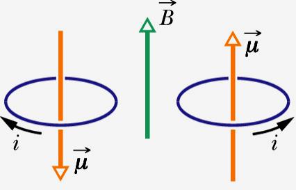 Energia potencjalna dipola magnetycznego w zewnętrznym polu magnetycznym.