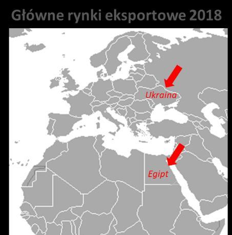 Str. 44 Eksport Eksport w całości przychodów Spółki za rok 2018 stanowił 6,6%: Eksport (w tys. zł) 2018 2017 r/r Przychody ze sprzedaży 8 883 5 080 74.