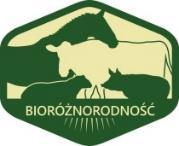 Badania w niniejszej rozprawie doktorskiej zostały zrealizowane w ramach