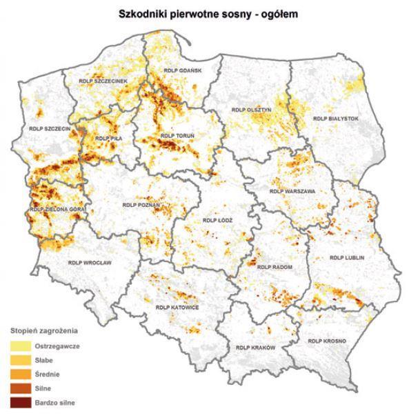 Mapa produkcyjności potencjalnej siedlisk a pierwotne szkodniki sosny Mapa