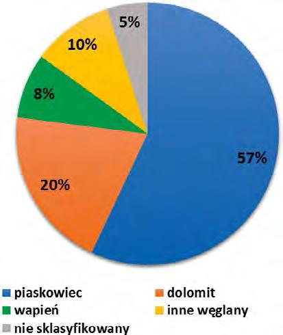 podmorskich [5], [14]. Pozostałe gazy (głównie gaz spalinowy i azot) są zdecydowanie rzadziej wykorzystywane w procesach WAG (rys. 8).